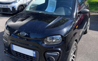 vente microcar mgo occasion